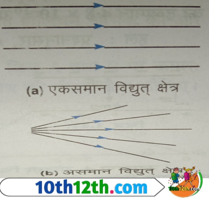 विद्युत बल रेखाओं से किसी आवेश या आवेश निकाय के कारण उत्पन्न विद्युत क्षेत्र की जानकारी प्राप्त होती है। जहां विद्युत बल रेखा सघन होती है,